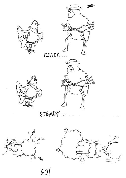 Chicken Sheep gunfight