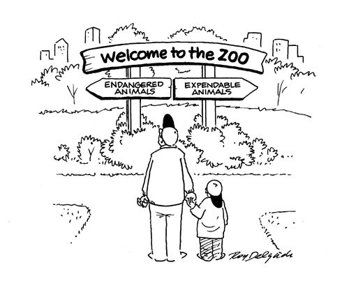Welcome to the Zoo.