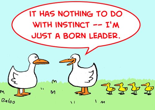 'It has nothing to do with instinct -- I'm just a born leader!'