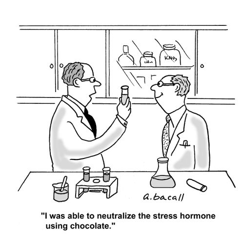 'I was able to neutralize the stress hormone using chocolate.'