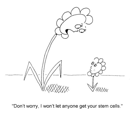 "...I won't let anyone get your stem cells."
