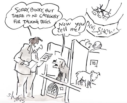 'Sorry Binky, but there is no category for talking dogs.'