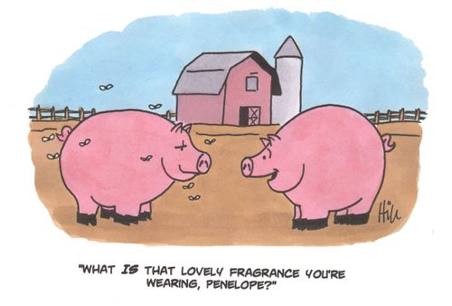 "What is that lovely fragrance you're wearing, Penelope?"