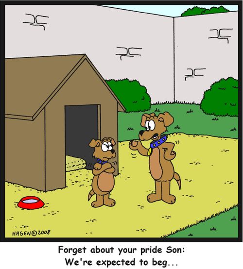 'Forget about your pride Son: We're expected to beg...'