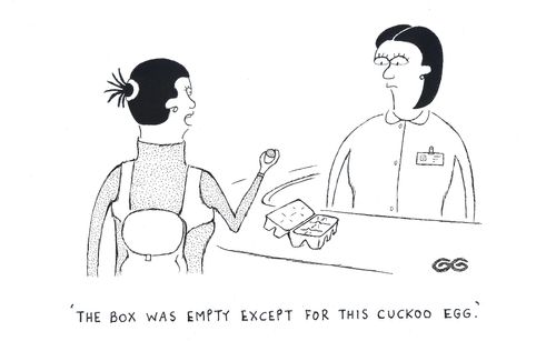'The box was empty except for this cuckoo egg.' (Customer returning eggbox).