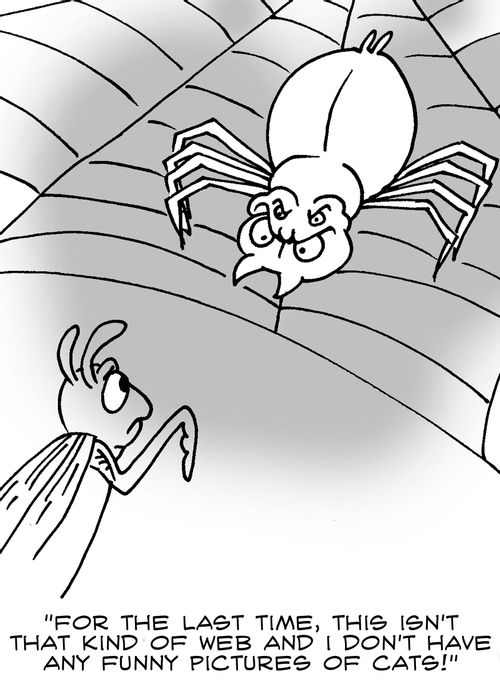 'For the last time, this isn't that kind of web and I don't have any funny pictures of cats!'