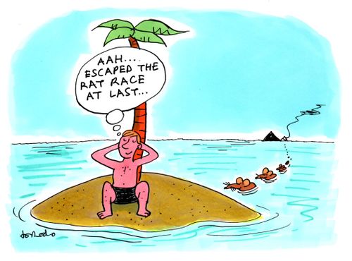 Rats swim to man's island refuge from the rat race.