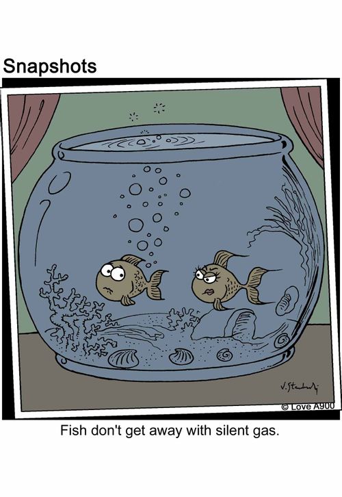 Fish don't get away with silent gas.