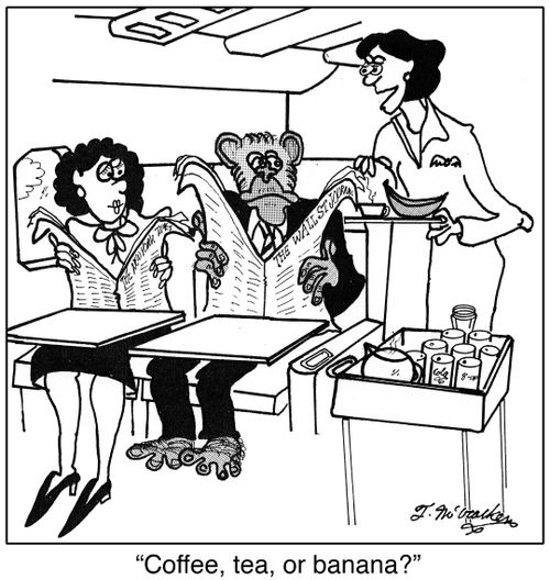 'Coffee, tea, or banana?'