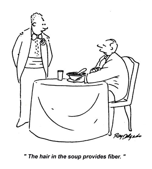 'The hair in the soup provides fiber.'
