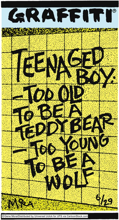 Teenaged boy: -Too old to be a teddy bear. -Too young to be a wolf.
