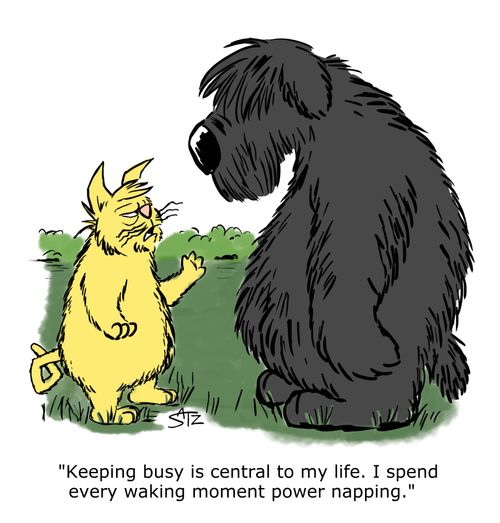 "Keeping busy is central to my life. I spend every waking moment power napping."