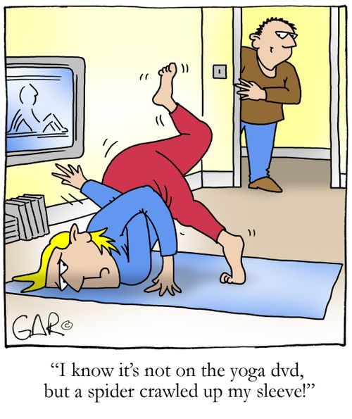 I know it's not on the yoga dvd but a spider crawled up my sleeve