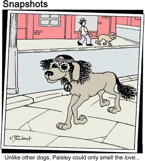 Hippie dog can 'only smell the love'.