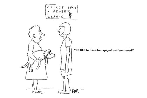 'I'd like to have her spayed and neutered!'