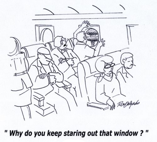 'Why do you keep staring out that window?'