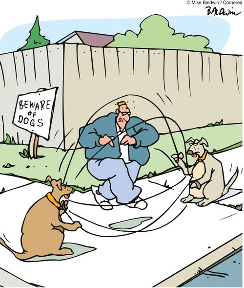 'Beware of Dogs.'
