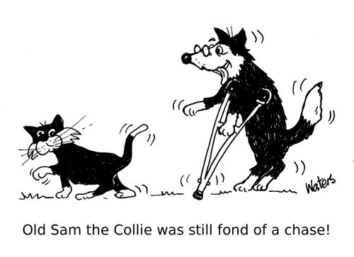 Old Sam and the Collie was still fond of a chase!