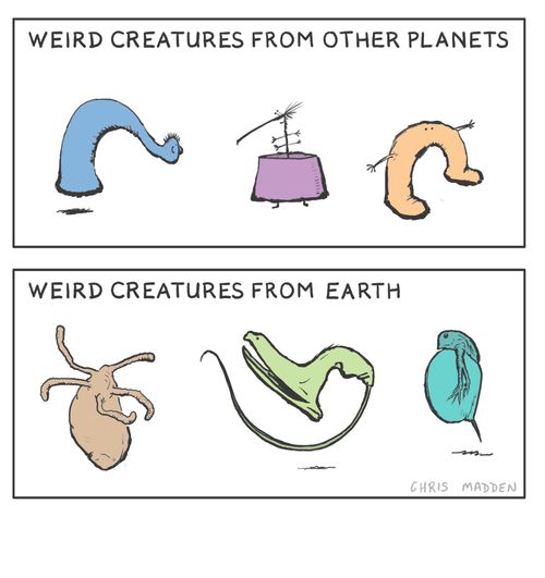 Strange and exotic creatures that exist on other planets - and ones that exist here on earth.