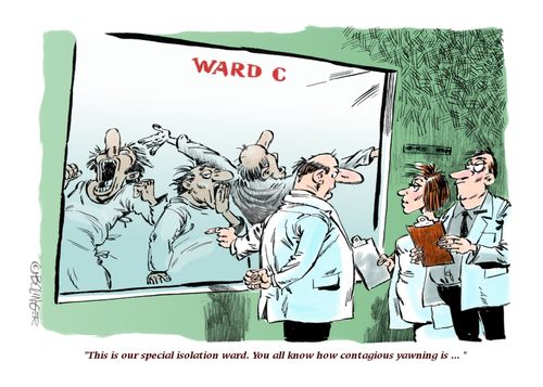 "This is our special isolation ward. You know how contagious yawning is..."