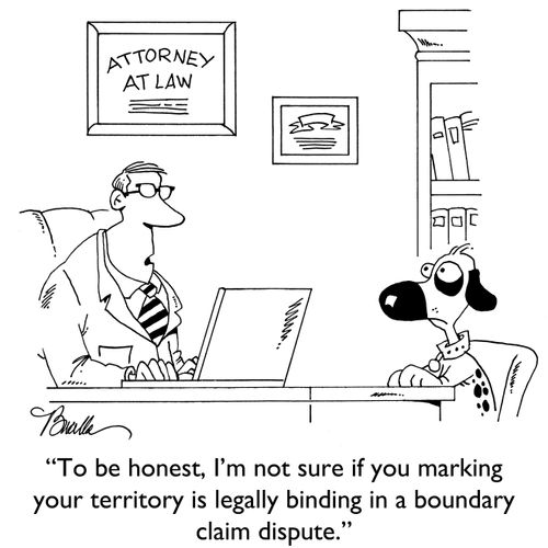 "To be honest, I'm not sure if you marking your territory is legally binding in a boundary claim dispute."