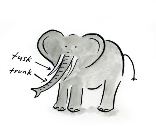 Elephant