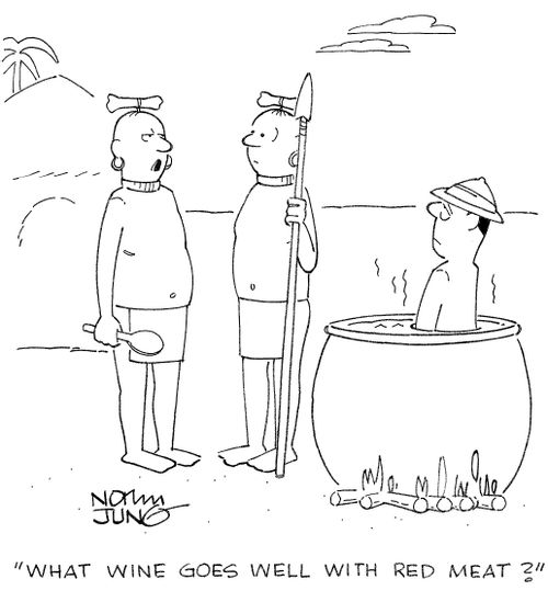 'What wine goes well with red meat?'