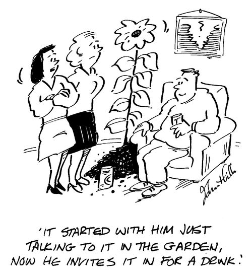 "It started with him just talking to it in the garden, now he invites it in for a drink."