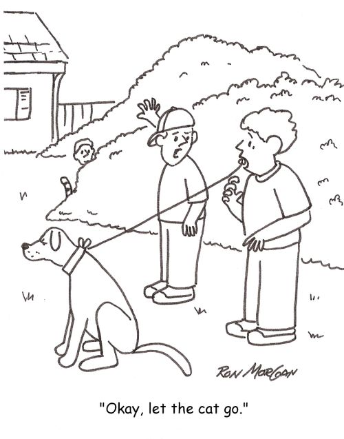 'Okay, let the cat go.'