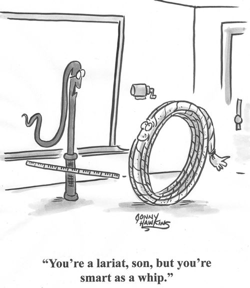 Teacher to student: 'You're a lariat, son, but you're smart as a whip.'