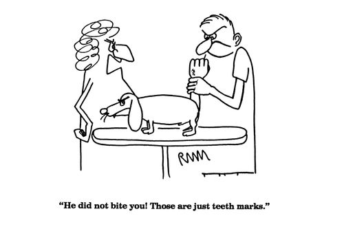 'He did not bite you!  Those are just teeth marks.'