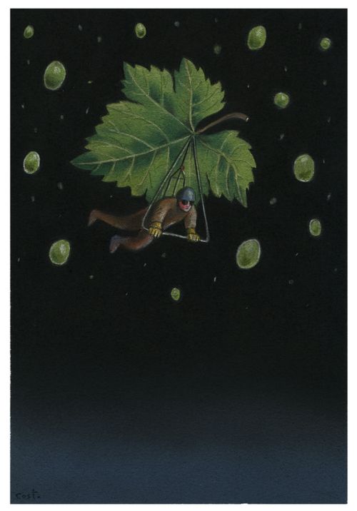 Grapes