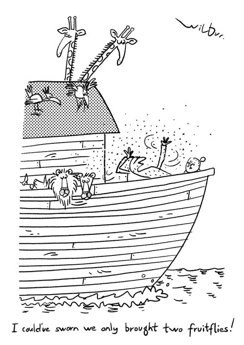"I could've sworn we only brought two fruit-flies!"
