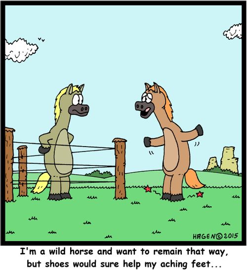 "I'm a wild horse and want to remain that way, but shoes would sure help my aching feet..."