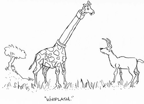 "Whiplash."