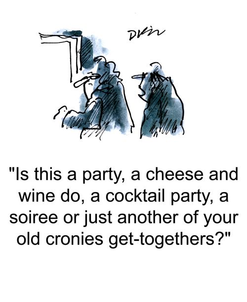'Is this a party, a cheese and wine do, a cocktail party, a soiree or just another of your old cronies get-togethers?'