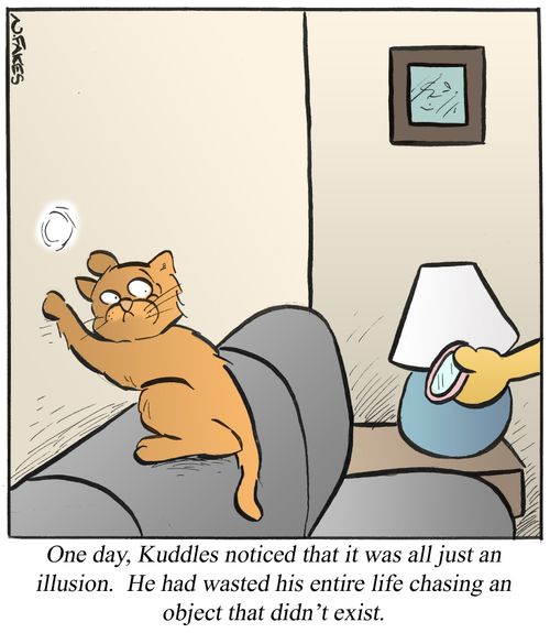 One day, Kuddles notices that it was all just an illusion. He had wasted his entire life chasing an object that didn't exist.'