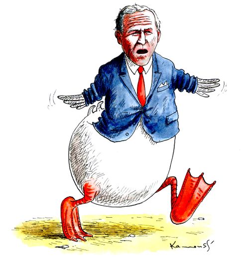 George Bush - Goose.