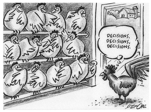 'Decisions, decisions, decisions.'