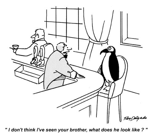 'I don't think I've seen your brother, what does he look like?'
