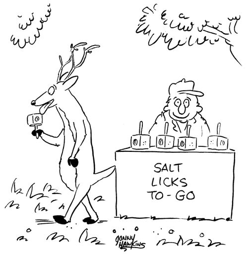 Selling salt lick lollipops to reindeers.