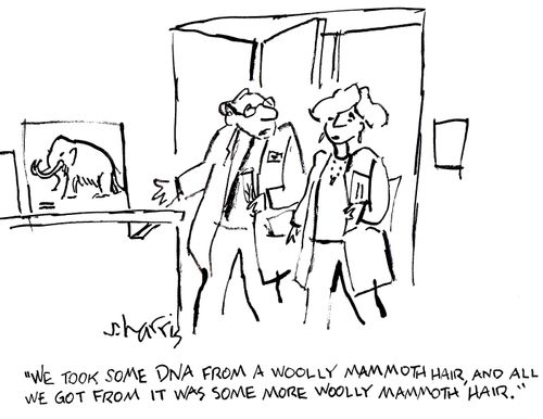 'We took some DNA from a woolly mammoth hair, and all we got from it was some more woolly mammoth hair.' 
