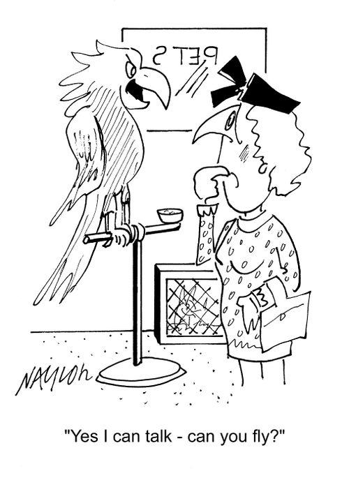 'Yes I can talk, can you fly?'