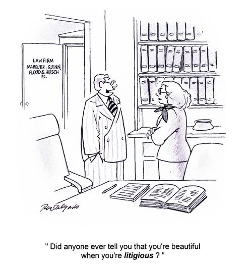 'Did anyone ever tell you that you're beautiful when you're litigious?'