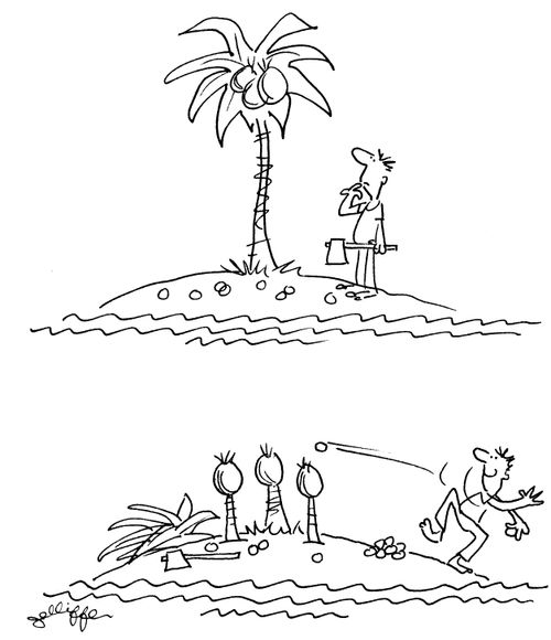 Man chops down palm tree to make coconut shy.