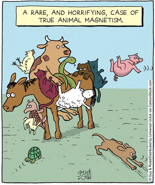 A rare, and horrifying case, of true animal magnetism.