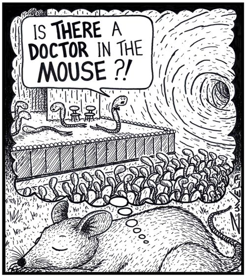 Manager: 'Is THERE a DOCTOR in the MOUSE?!' 
