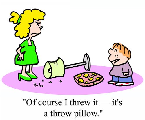 'Of course I threw it - It's a throw pillow.'