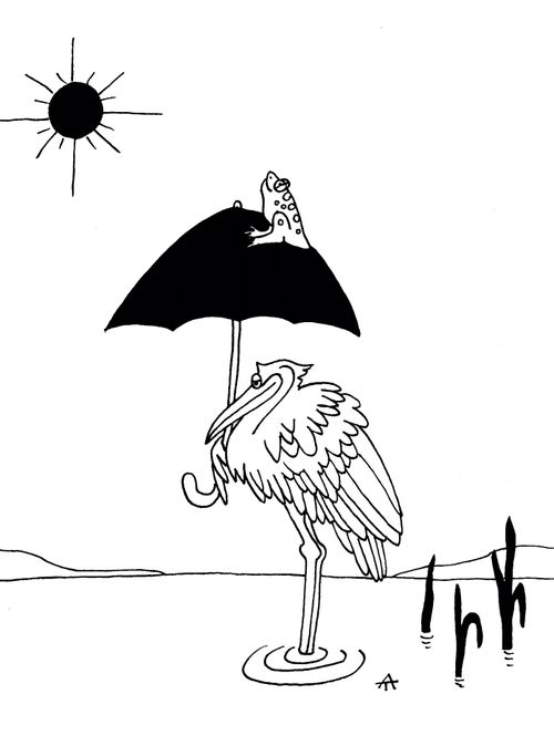 The Frog, Flamingo, and Umbrella.