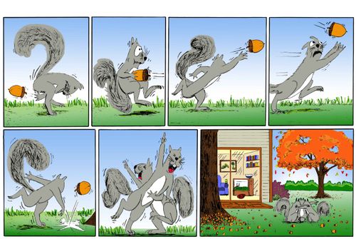 Squirrel Football